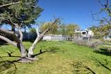 28 3rd St N - Photo 28