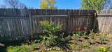 47 Monte Vista - Photo 22