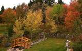 6915 Red Fox Road - Photo 5