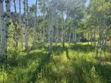 7631 Stauffer Canyon Road - Photo 28