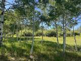 7631 Stauffer Canyon Road - Photo 29