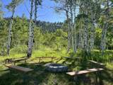 7631 Stauffer Canyon Road - Photo 30