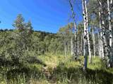 7631 Stauffer Canyon Road - Photo 31