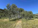 7631 Stauffer Canyon Road - Photo 33