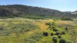 7631 Stauffer Canyon Road - Photo 8