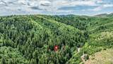 8832 Whispering Pines Rd. - Photo 4