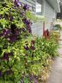 906 Main - Photo 5