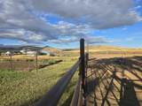 34200 Coulam Rd - Photo 15