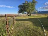 34200 Coulam Rd - Photo 3