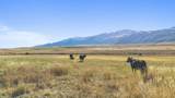 30236 Us Hwy 91 - Photo 15