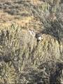 30236 Us Hwy 91 - Photo 20