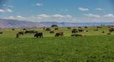 TBD Wallentine Rd And Hwy 89 - Photo 9