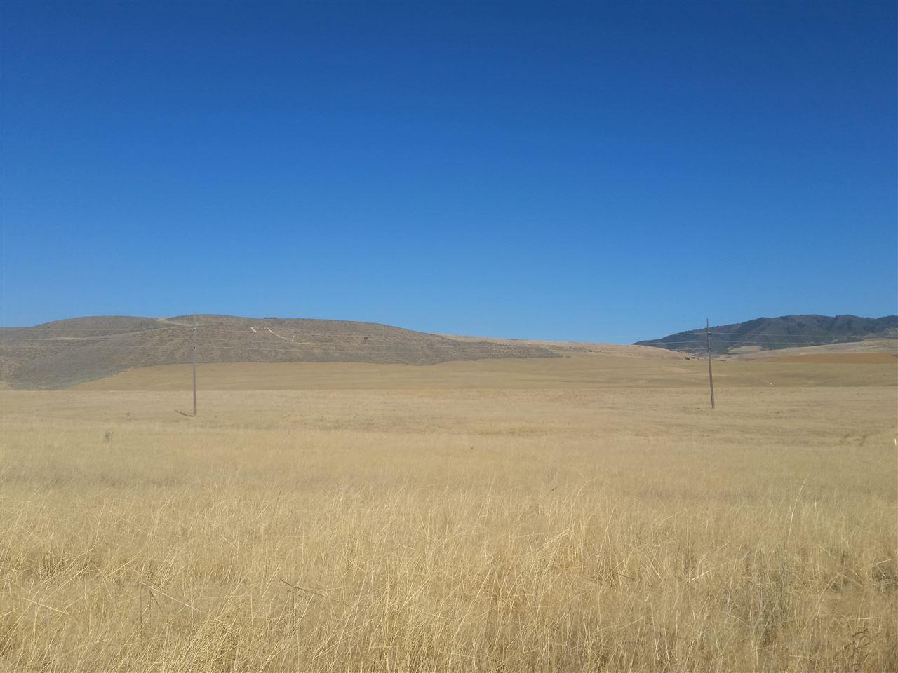 140 ACRES Raymond Road - Photo 1