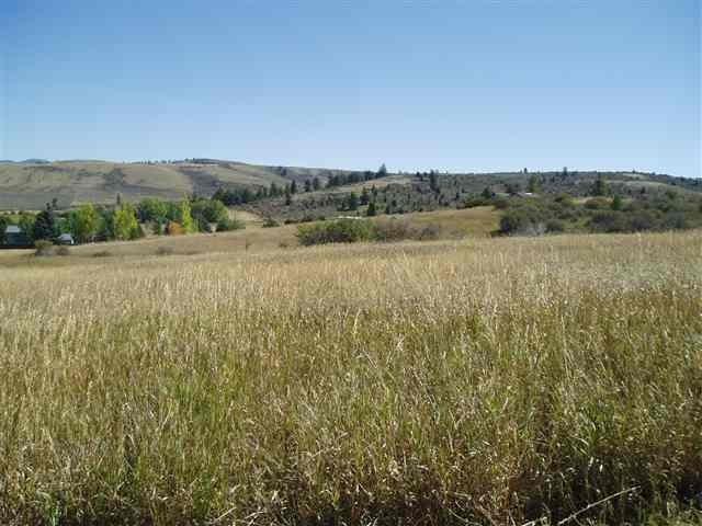 Lot 119 Hyperion Road, Bailey Creek Subdivision #1 - Photo 1