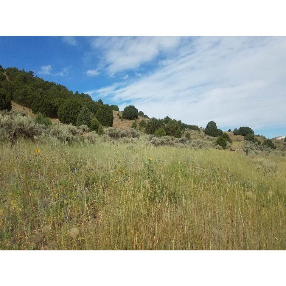 TBD Buckskin Rd - Photo 1