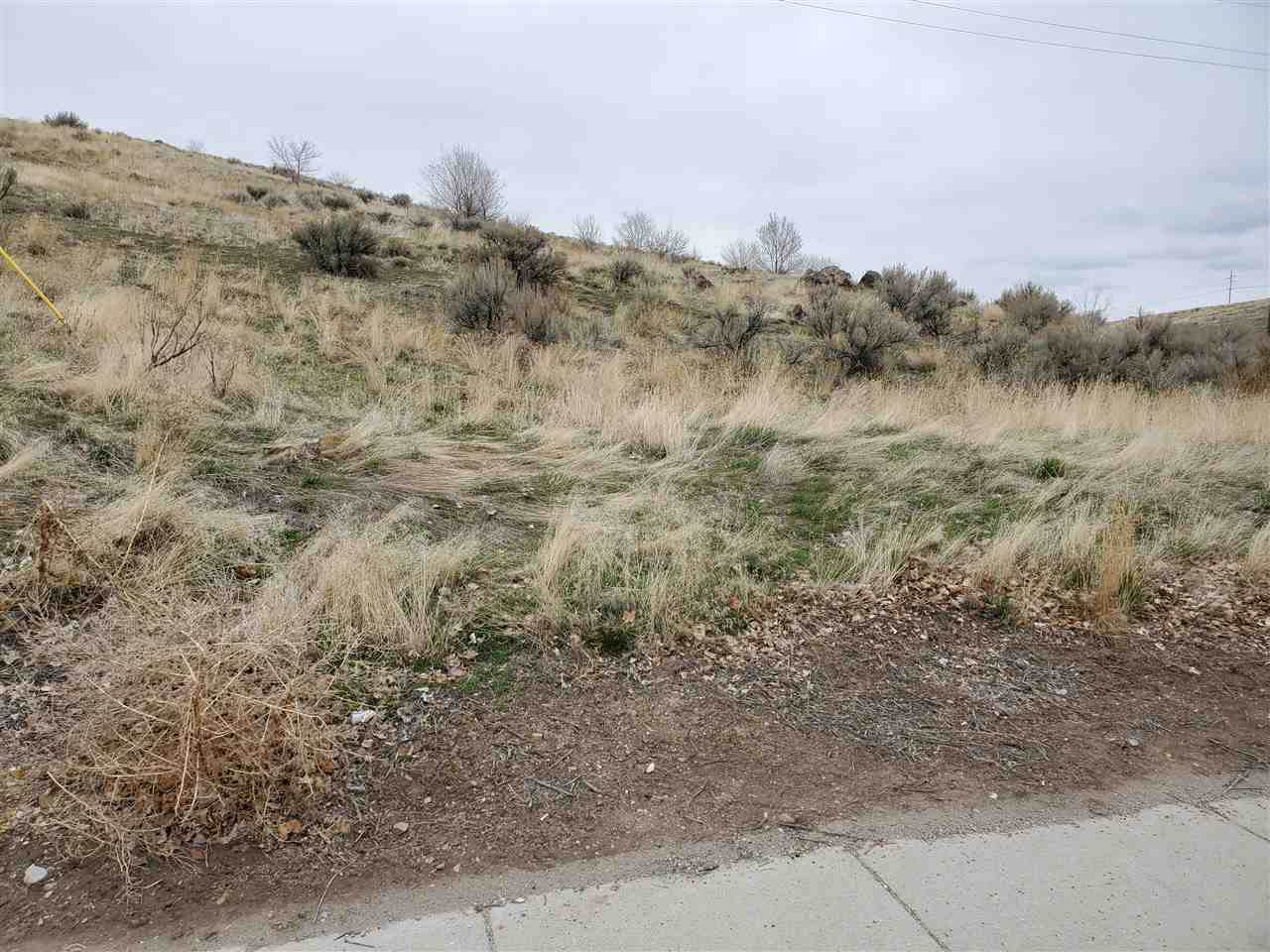 TBD Barton Rd. - Photo 1