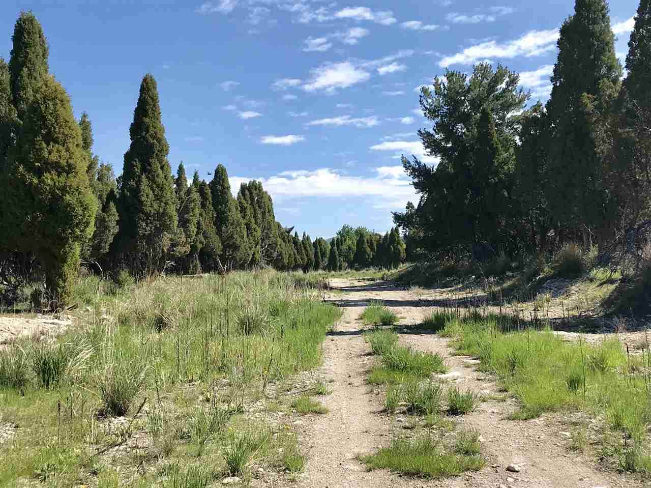 TBD Pioneer Drive - Photo 1