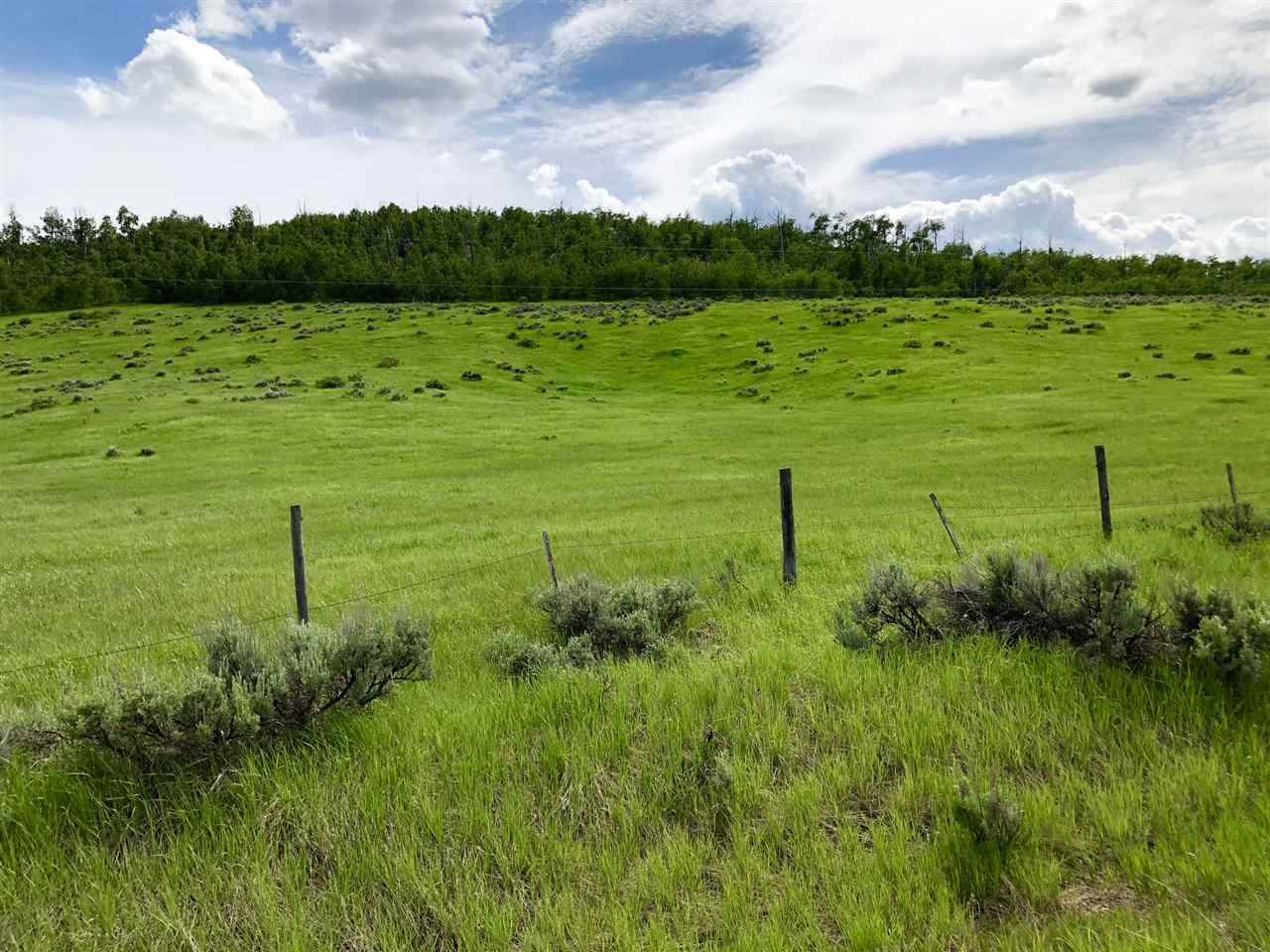 Lot 6 Henry's Cutoff Rd - Photo 1