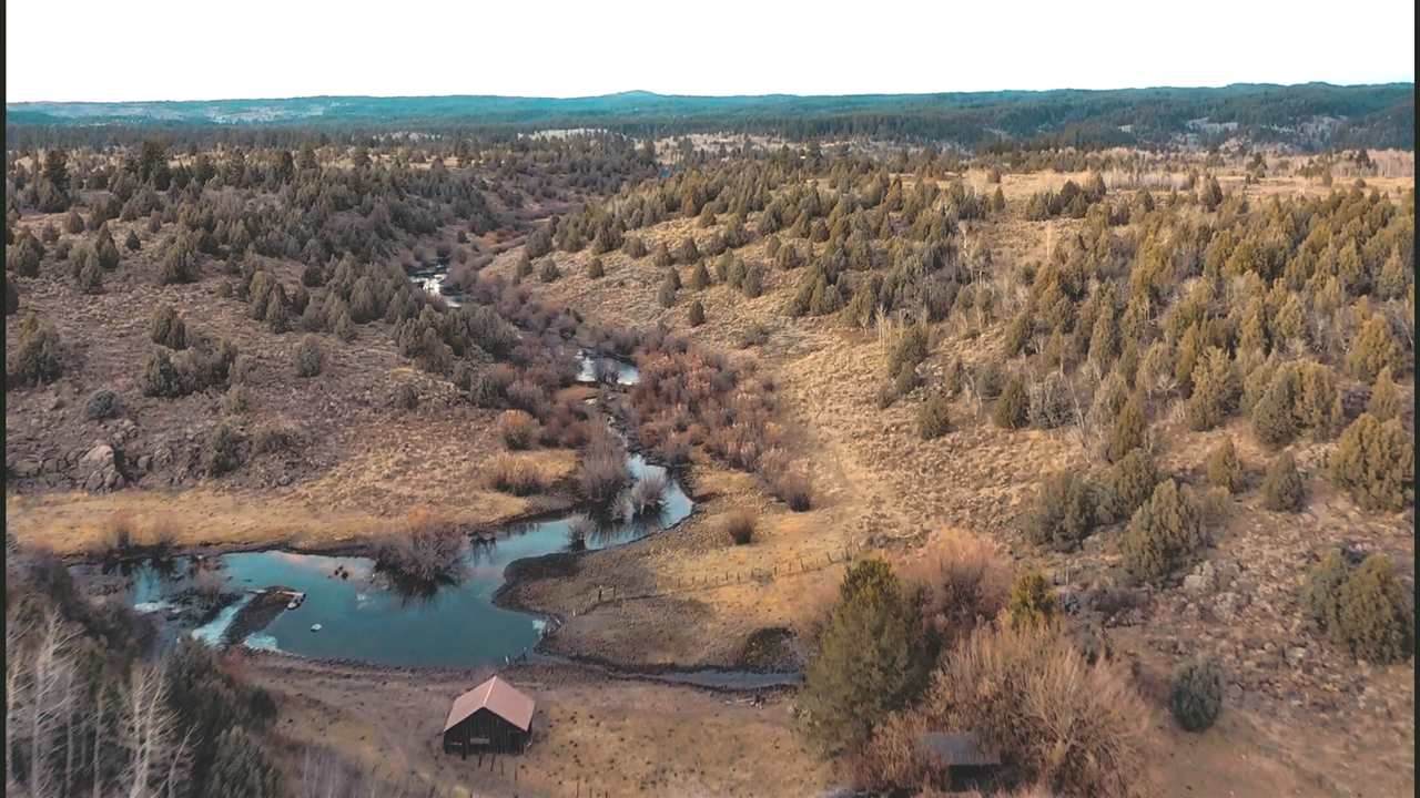 Spring Creek Ranch Sadorus Hill - Photo 1