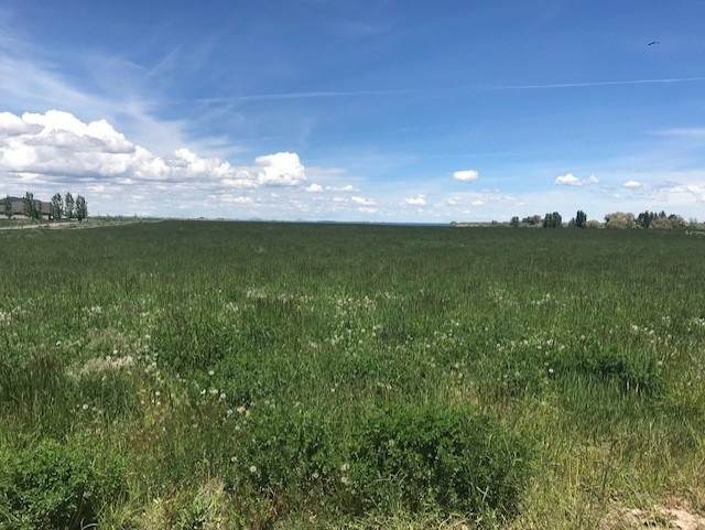 Lot 19 Sparks Lane - Photo 1