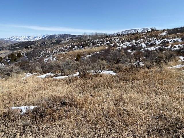 TBD Deer Reserve Drive-Lot 11 - Photo 1