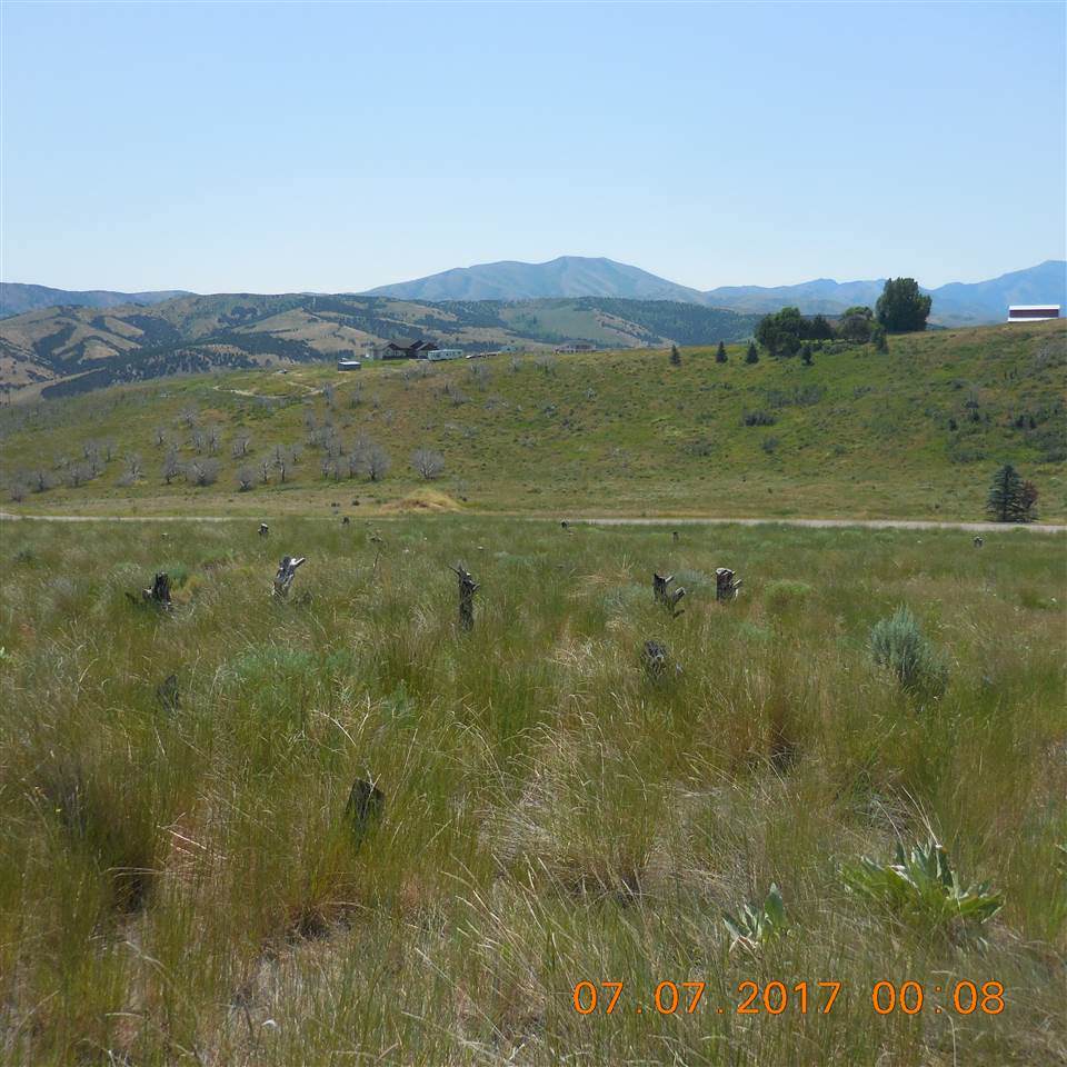 TBD Braxton Drive - Photo 1
