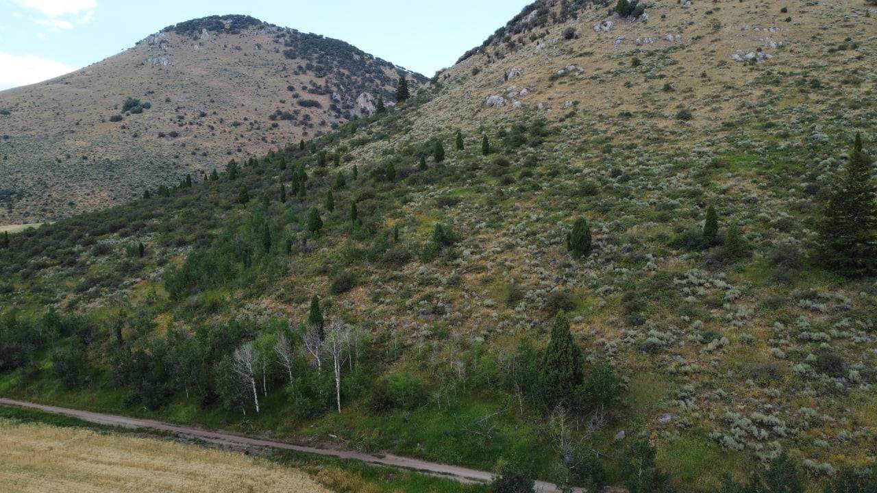 TBD Sulfer Canyon Rd. Parcel #5 - Photo 1