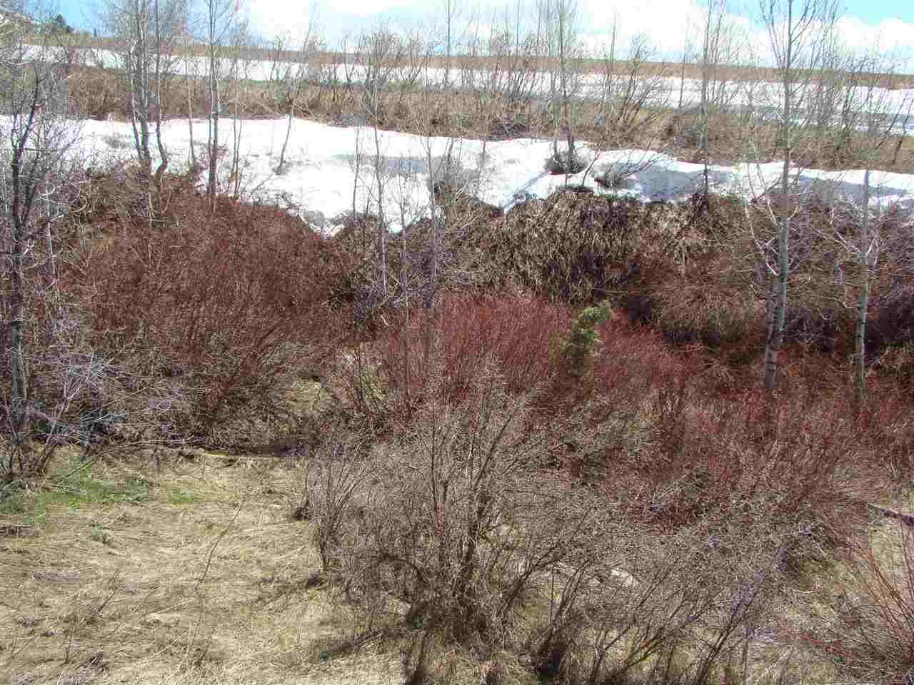 LOT 3 Bonneville Road - Photo 1