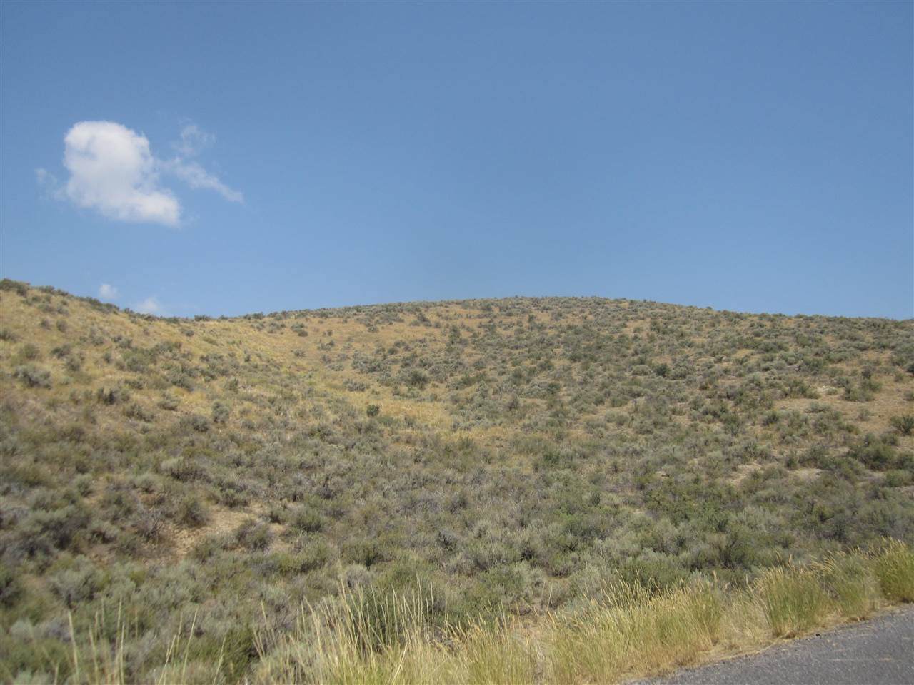7000 Pocatello Valley Rd. - Photo 1