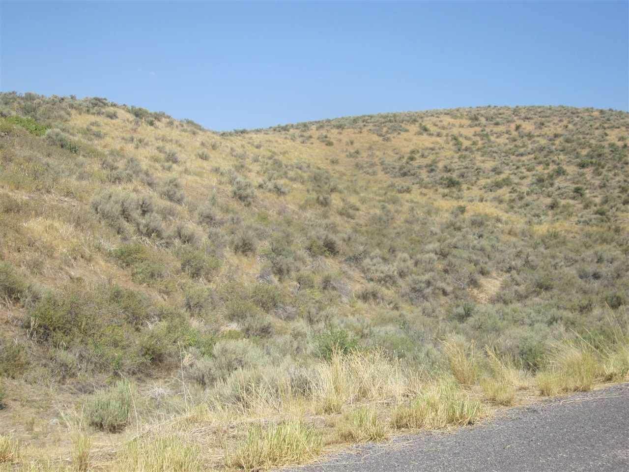 6250 Pocatello Valley Rd. - Photo 1