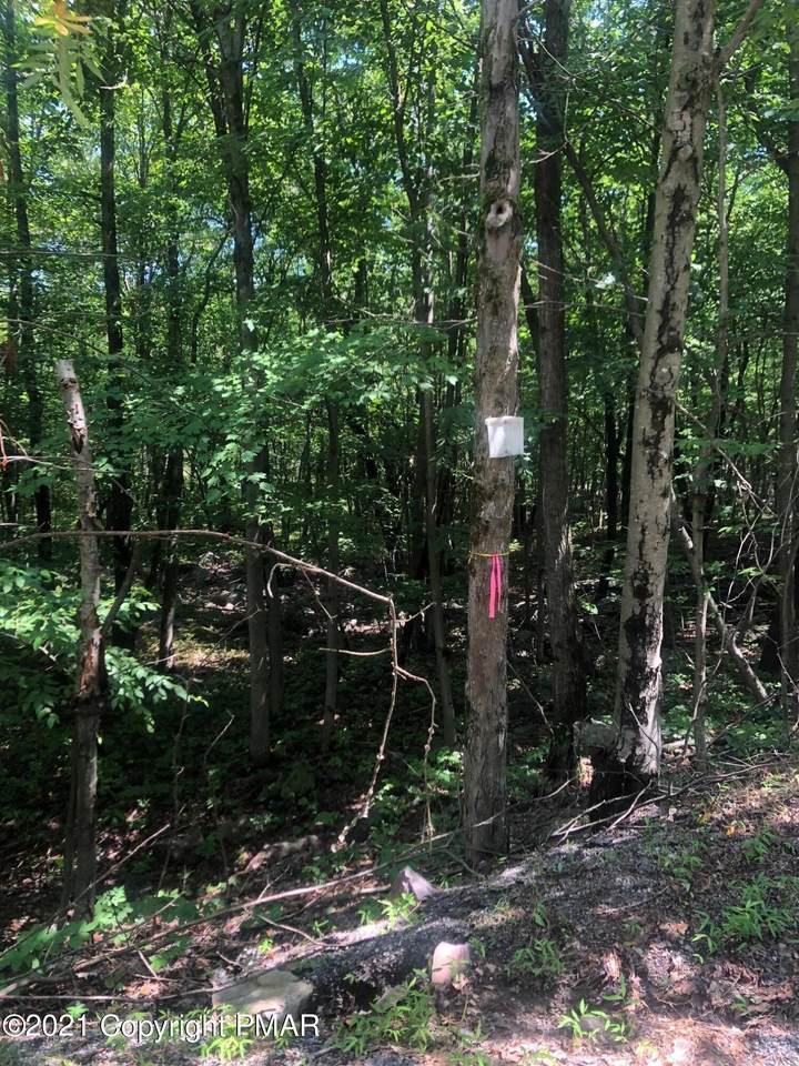 Address Not Published - Photo 1