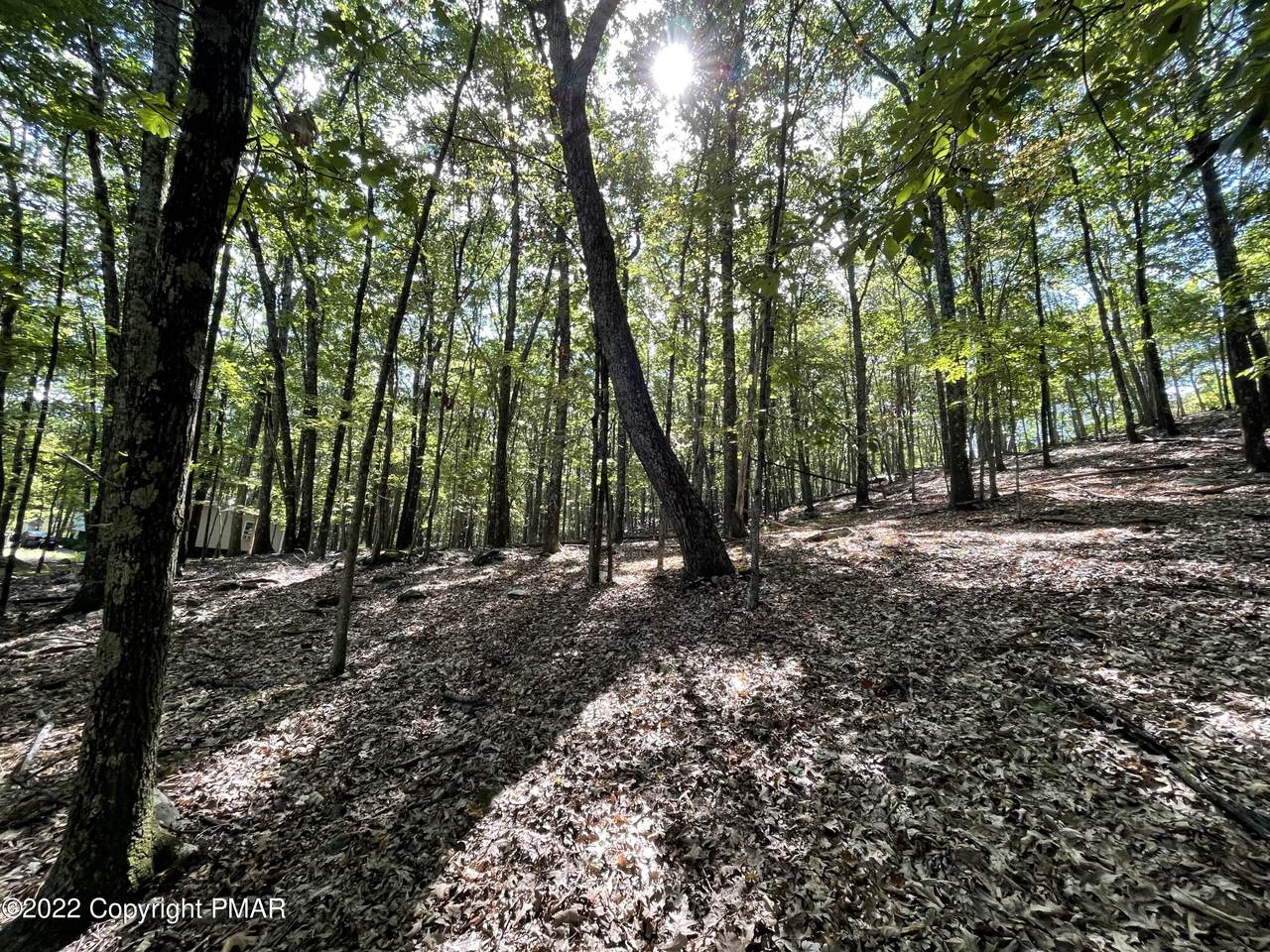 Lot 151 Chipmunk Rd - Photo 1
