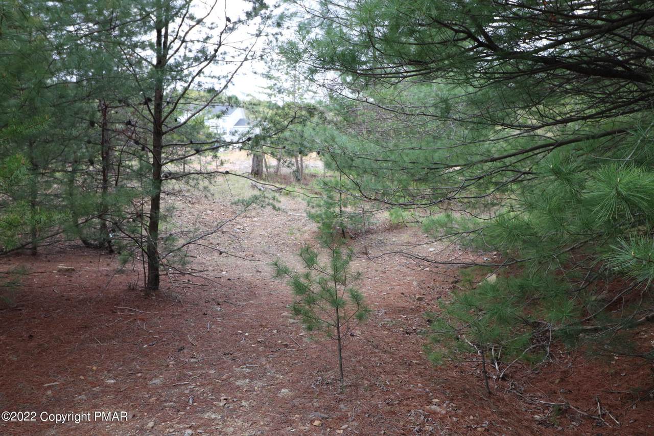 99 Edgemont Avenue - Photo 1