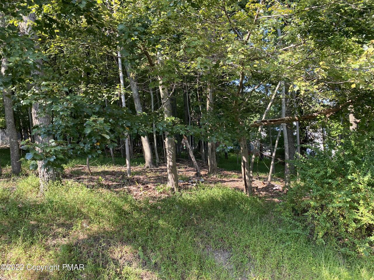 4139 White Birch Dr - Photo 1