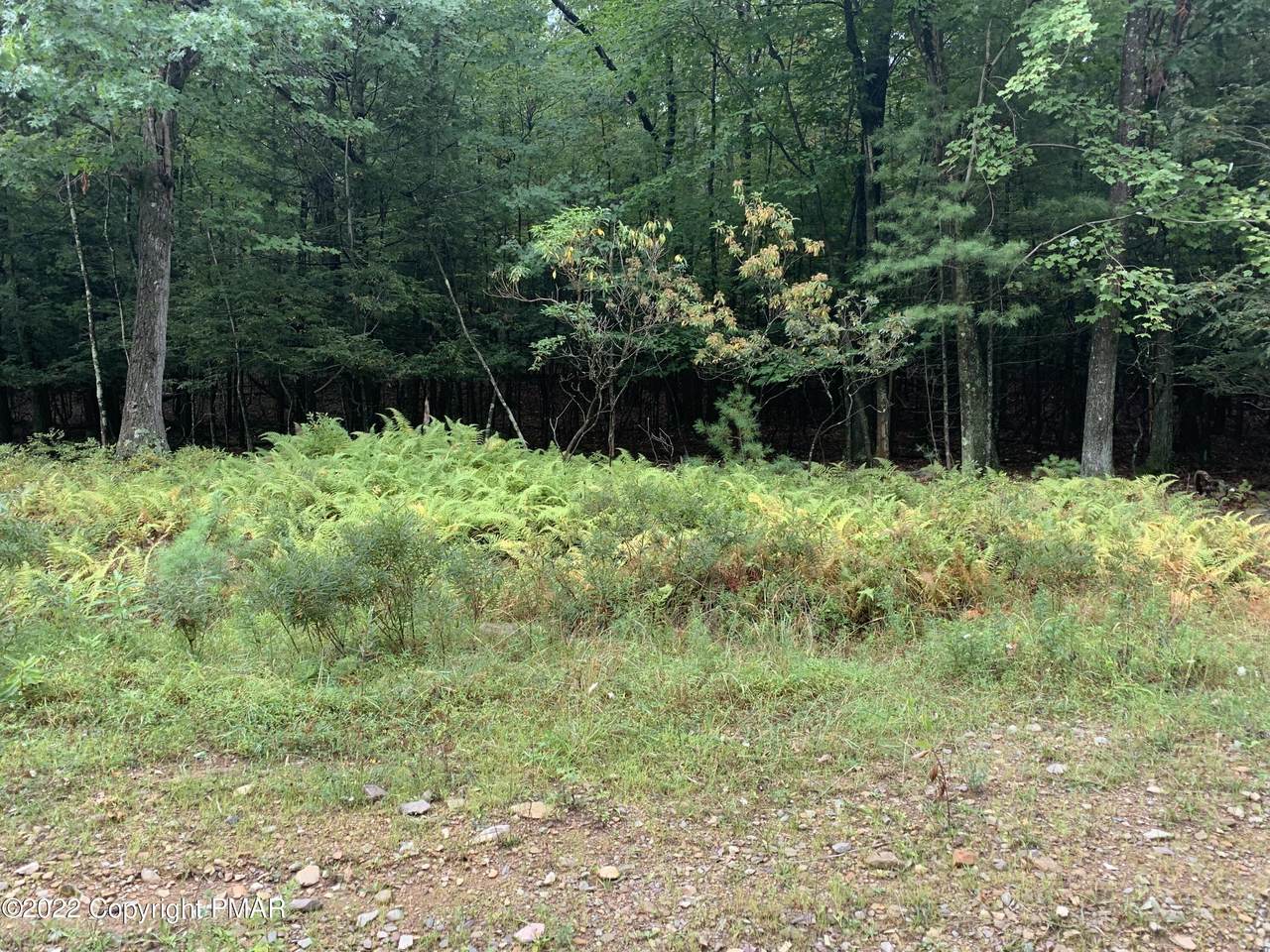 Blueberry Rd - Photo 1