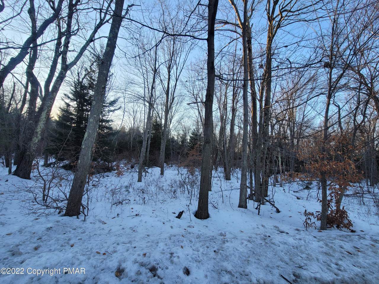 908 Sylvan Ln - Photo 1