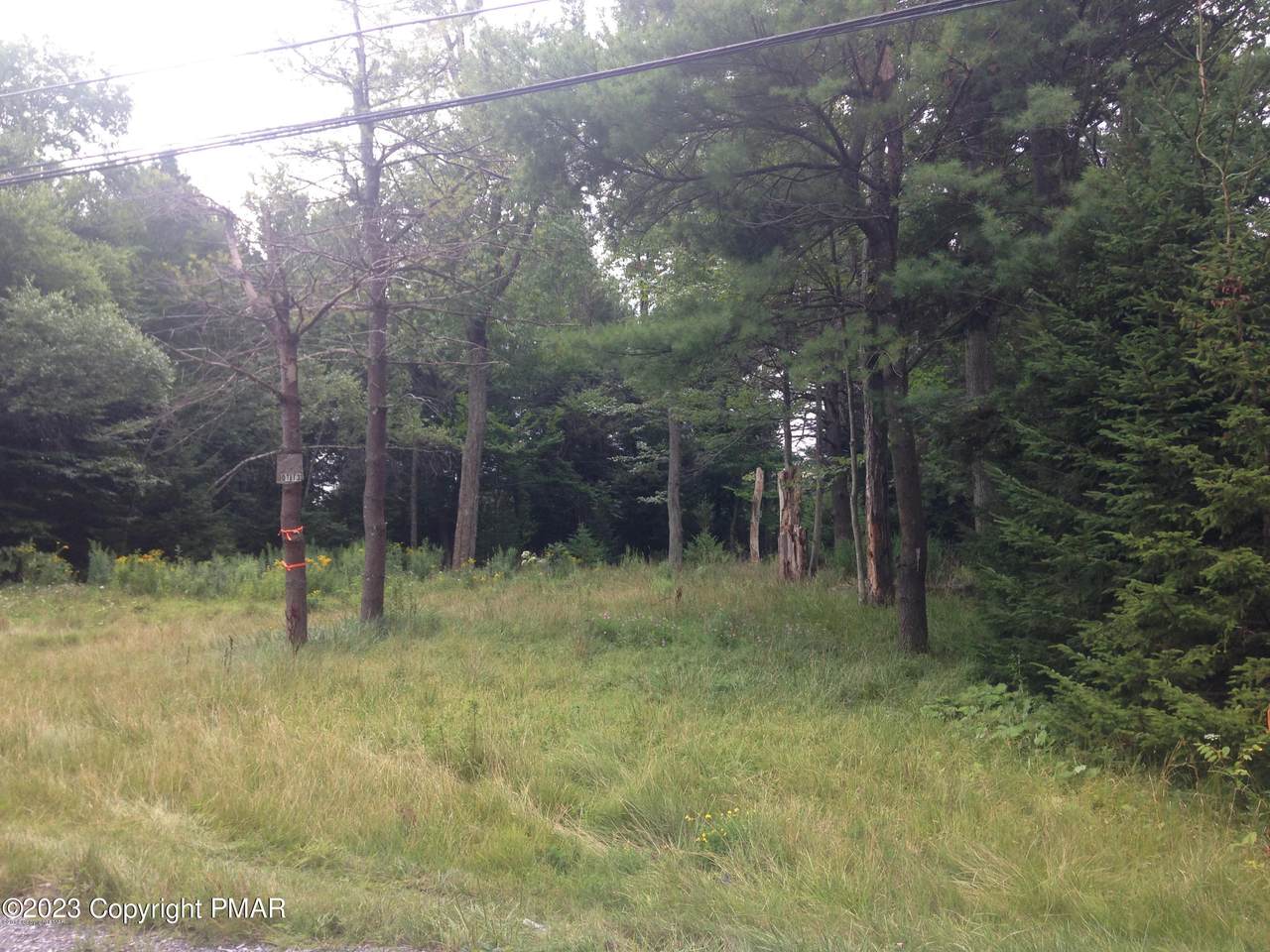 T 625 13 Hemlock - Photo 1