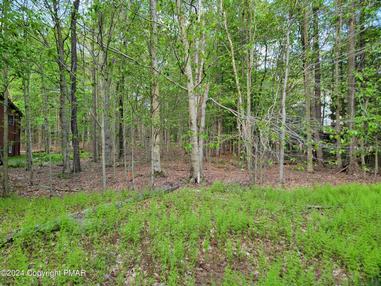 #1873 Mt Glen Drive - Photo 1