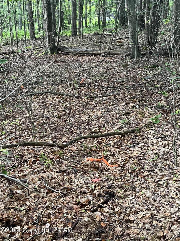 https://bt-photos.global.ssl.fastly.net/pocono/1280_boomver_1_PM-116019-2.jpg
