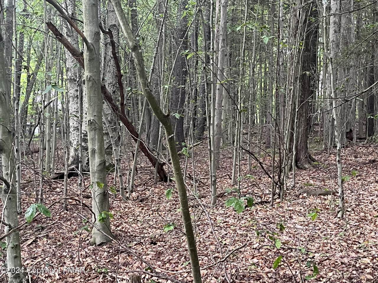 https://bt-photos.global.ssl.fastly.net/pocono/1280_boomver_1_PM-116019-2.jpg