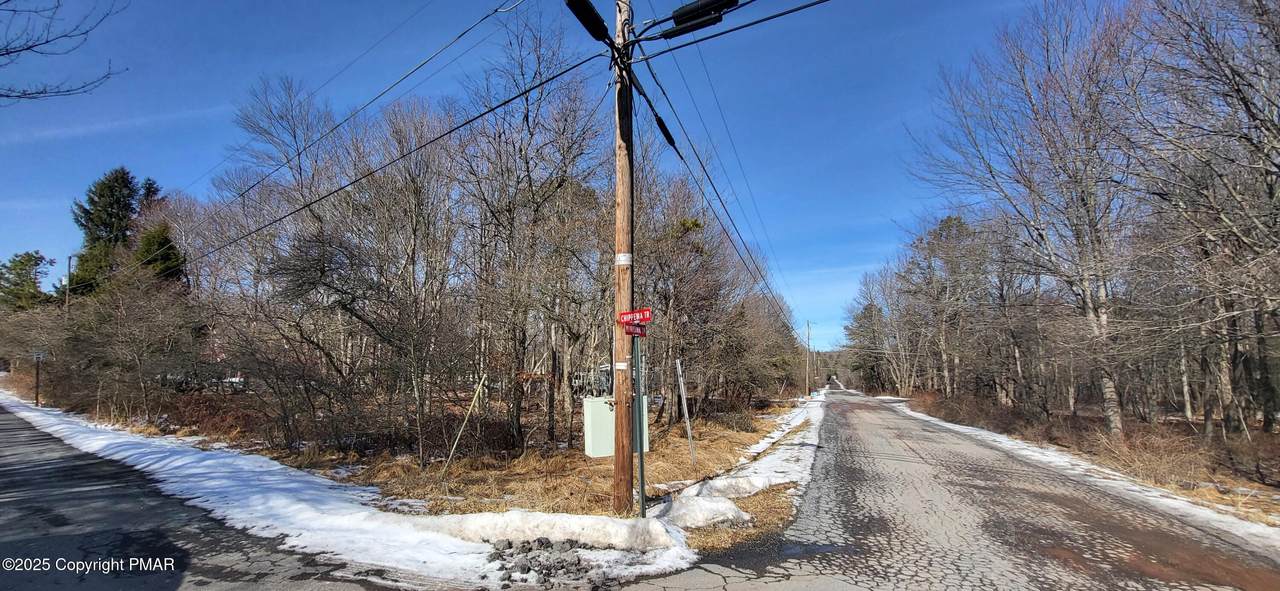Minisink Chippewa Trail - Photo 1