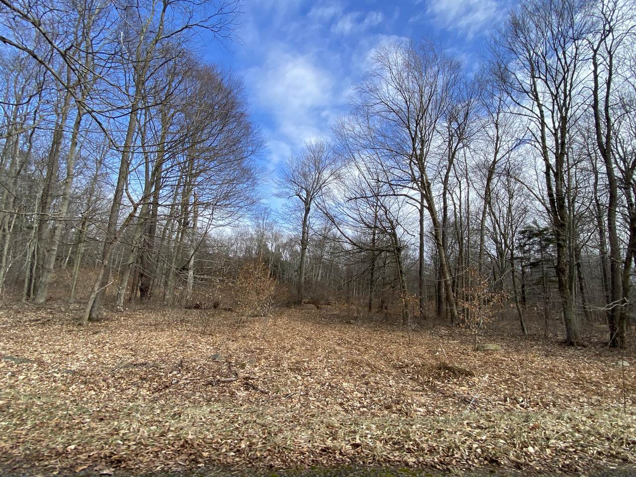 1022 Wadi Road - Photo 1