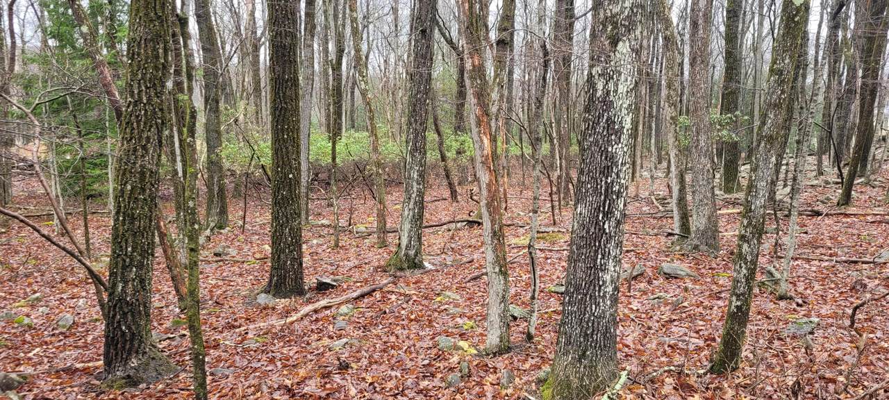 A384 Sunset Drive - Photo 1