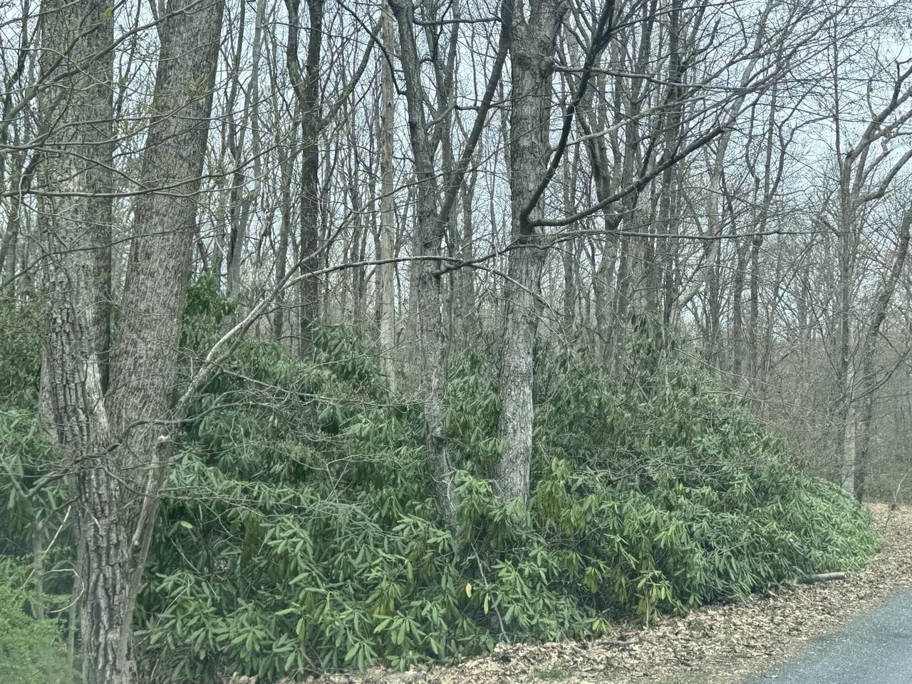https://bt-photos.global.ssl.fastly.net/pocono/1280_boomver_1_PM-131589-2.jpg