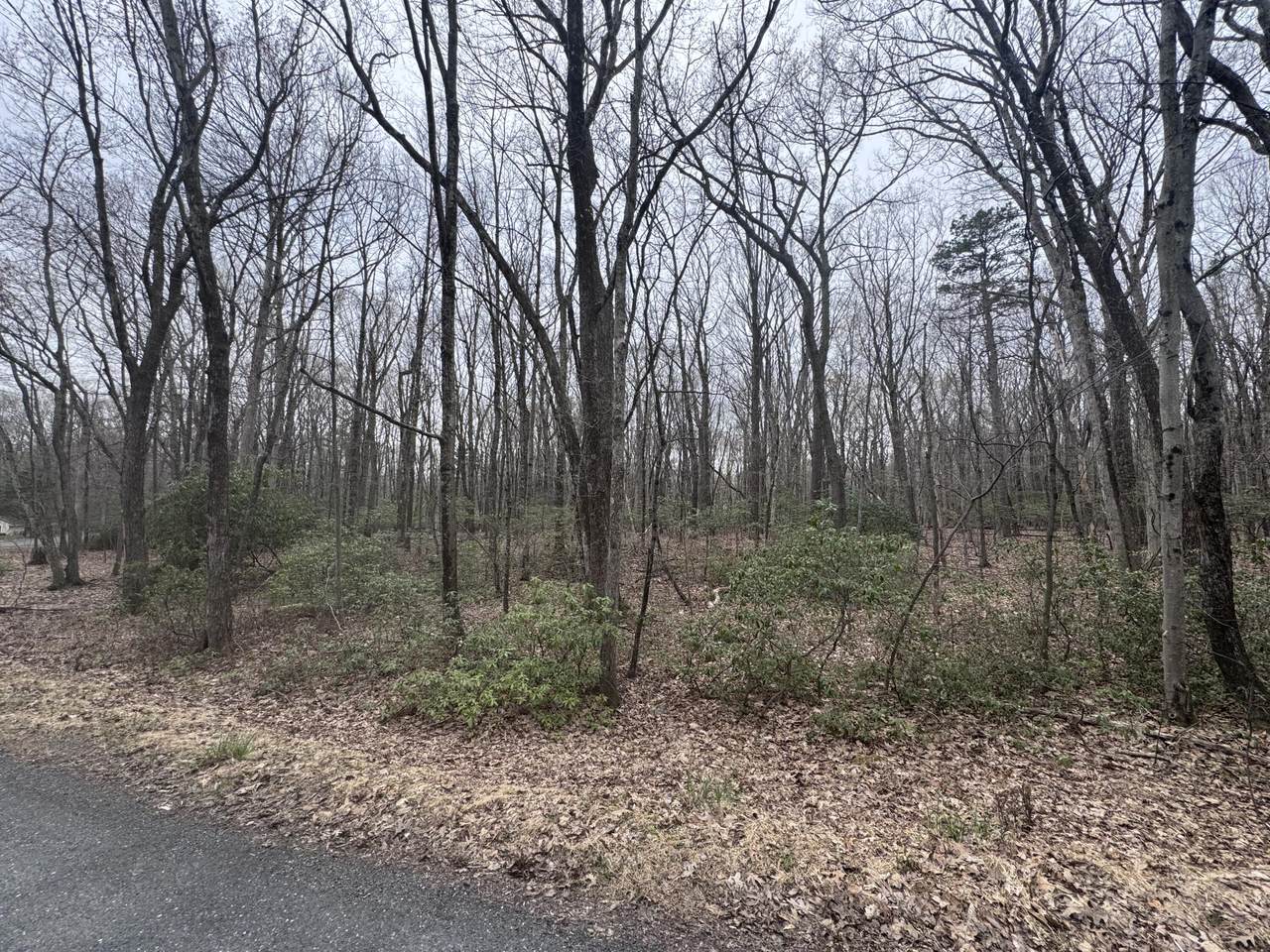 https://bt-photos.global.ssl.fastly.net/pocono/1280_boomver_1_PM-131589-2.jpg