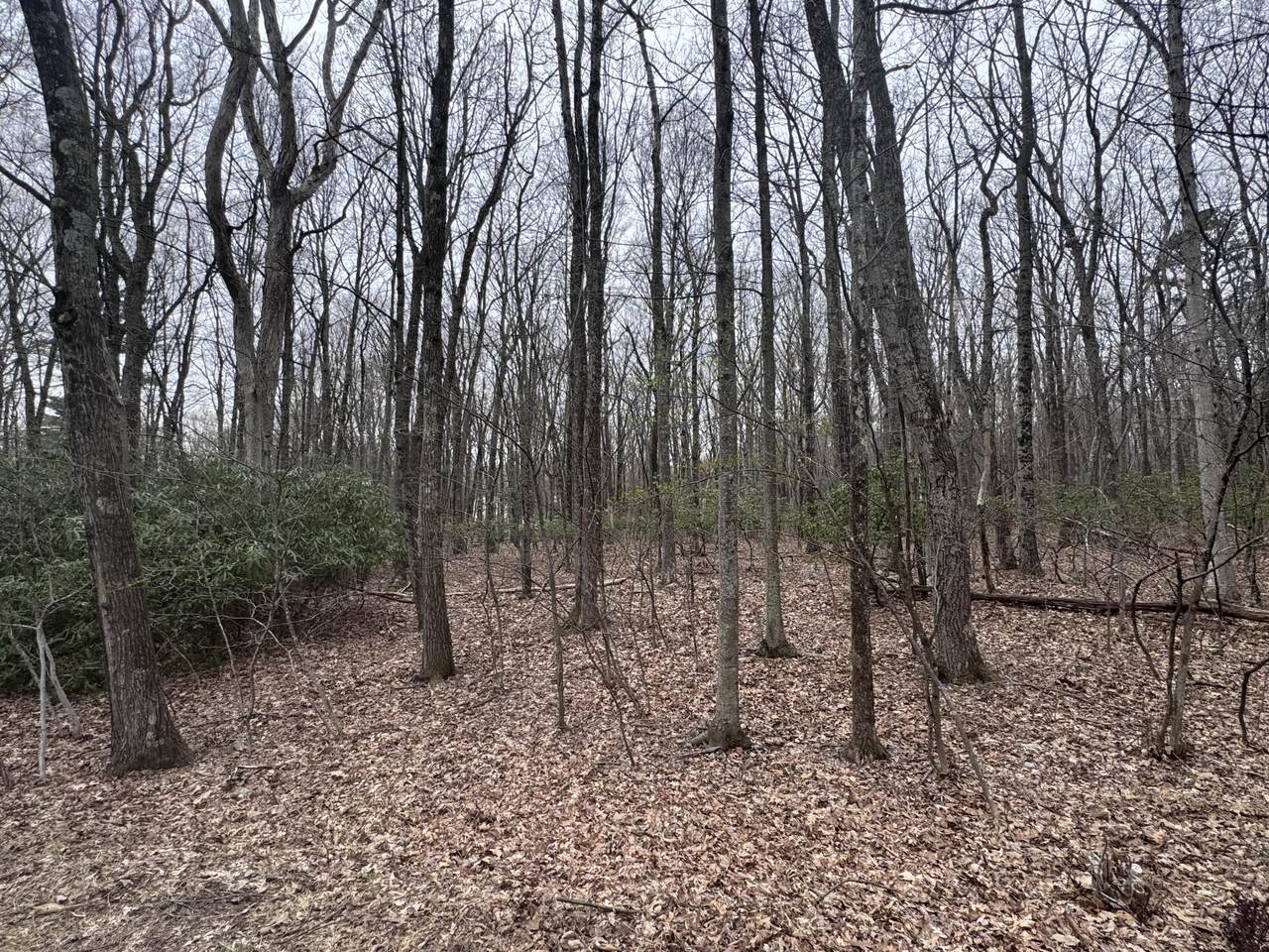 https://bt-photos.global.ssl.fastly.net/pocono/1280_boomver_1_PM-131589-2.jpg