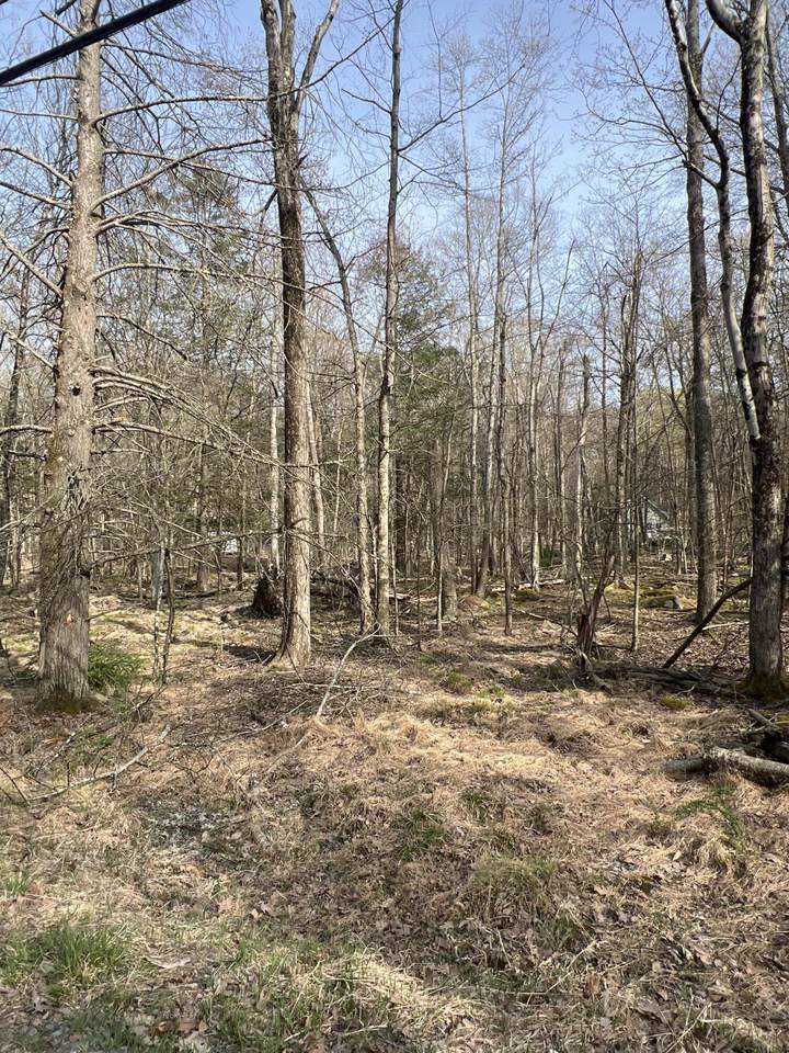 lot 814 White Pine Drive - Photo 1