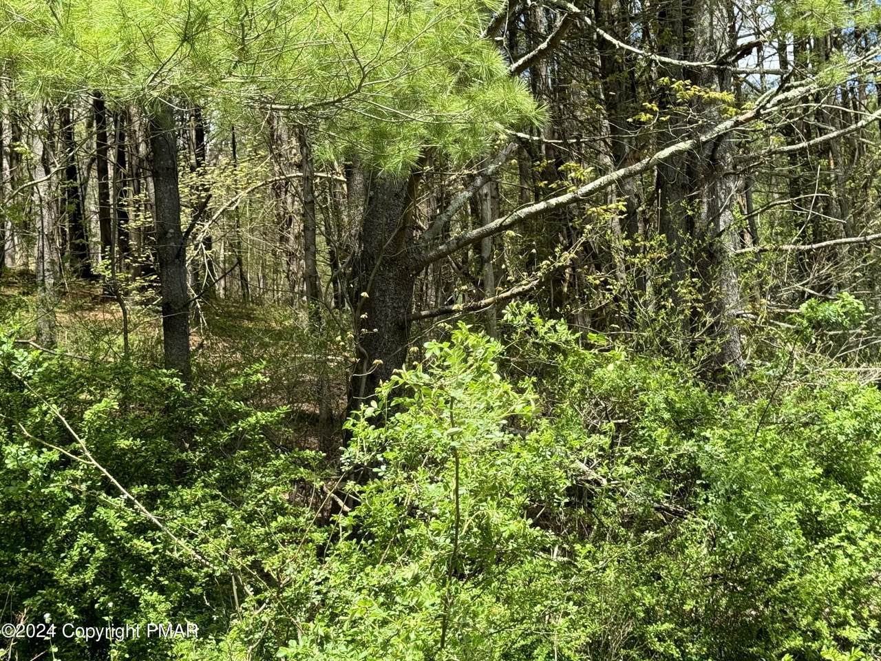  Haney Road - Photo 1