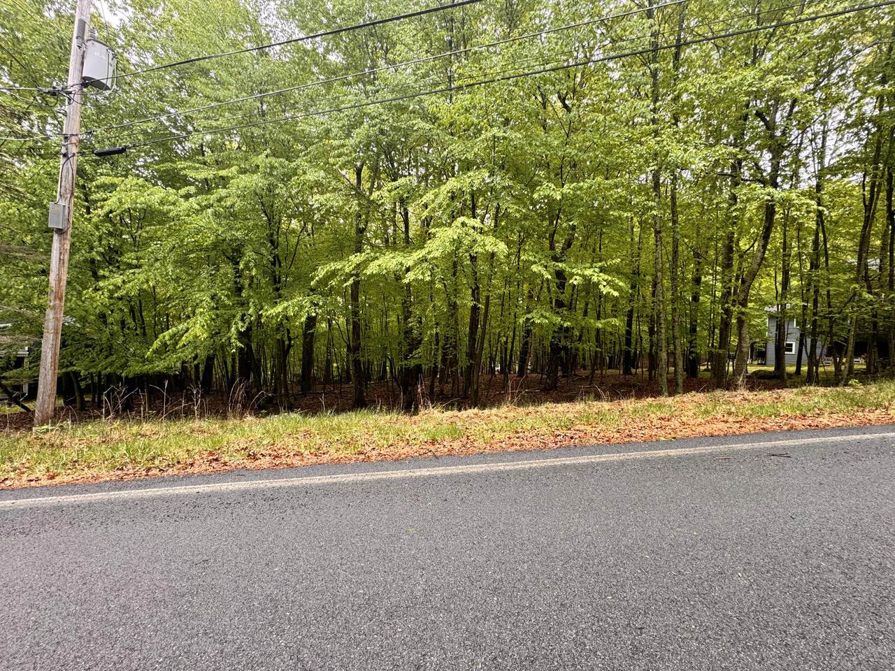  Bishop Court - Photo 1