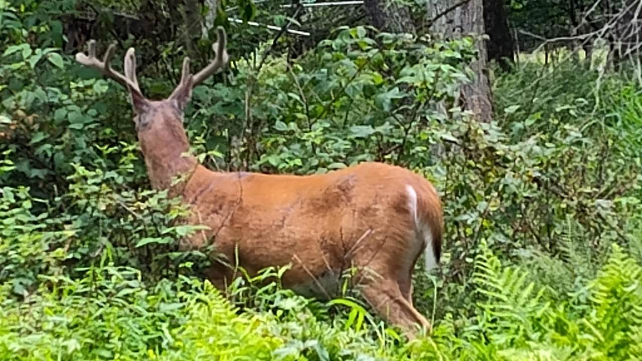 96 Rim Road - Photo 1